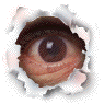 Eye1.gif (15346 bytes)